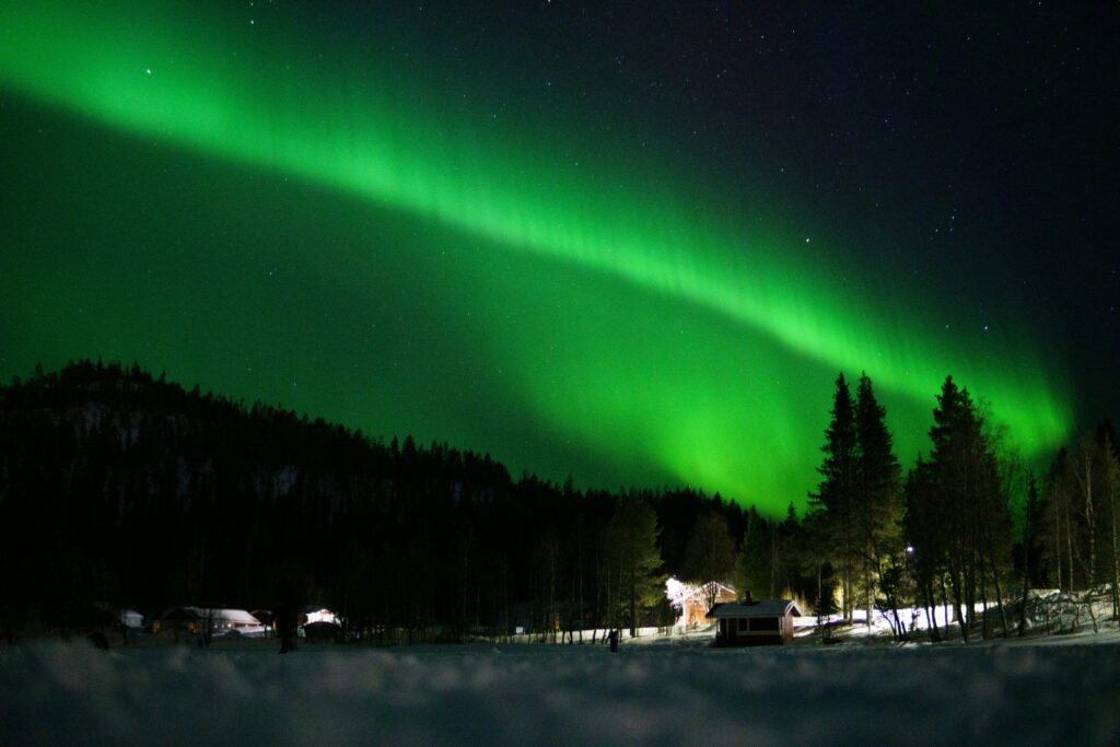 Aurora Viewing & Wildlife Preserve: The best-value combination for summer nights